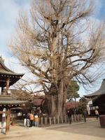 Takayama - Spaziergang zum Morgenmarkt