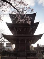 Takayama - Spaziergang zum Morgenmarkt