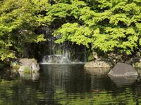 Himeji - Hiroshima - Besichtigung von Himeji - Koko-en Garten