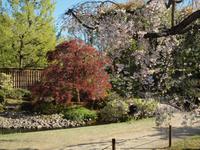 Himeji - Hiroshima - Besichtigung von Himeji - Koko-en Garten