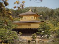 Kyoto - Goldener Pavillon - Kinkakuji Tempel