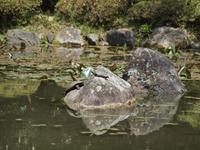 Kyoto - Heian Schrein