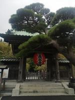 Kamakura Hasedara Tempel