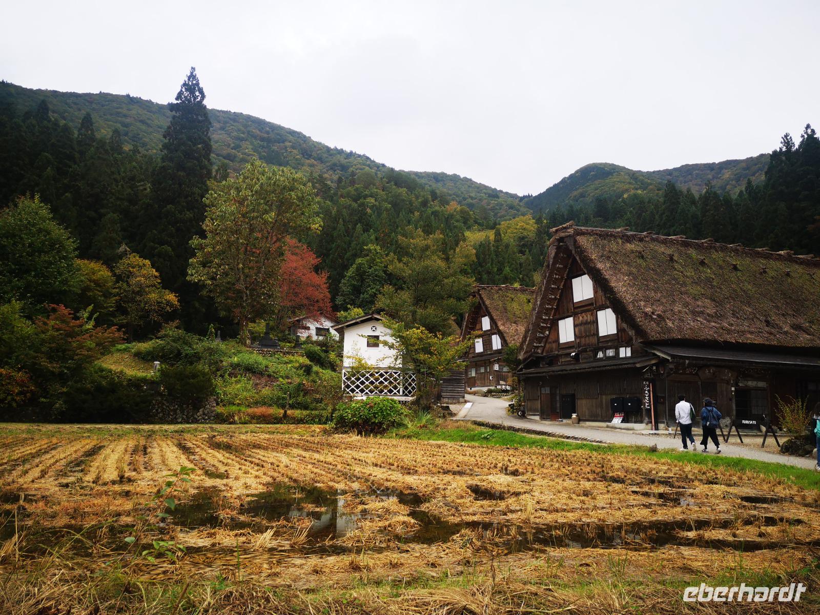 Shirokawago