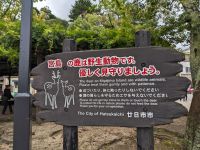 202. Insel Miyajima