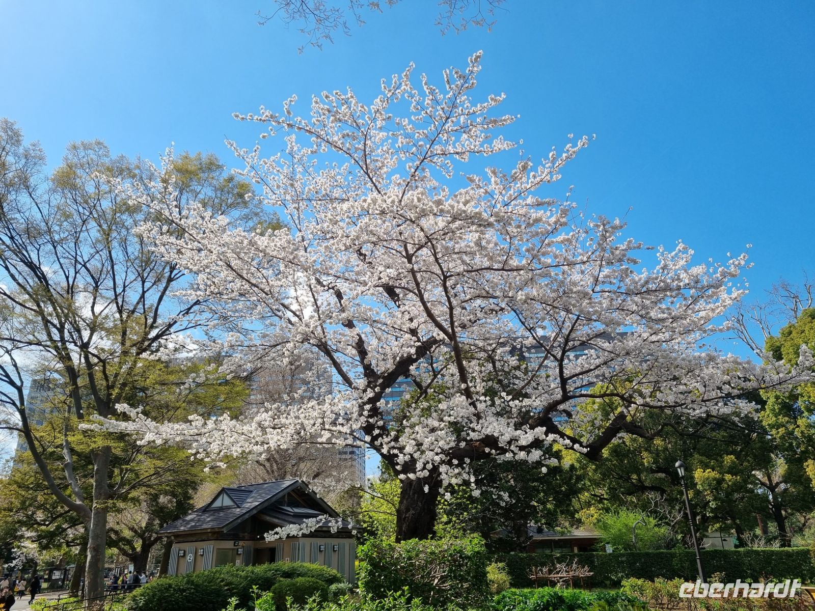 Tokio - Hibiya Park
