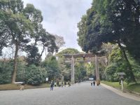 Tokio - Meiji-Jingu-Schrein (Ichino Torii)