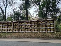 Tokio - Meiji-Jingu-Schrein (Sake-Fässer)
