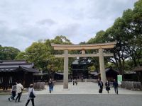Tokio - Torii Gate des Meiji-Jingu-Schrein