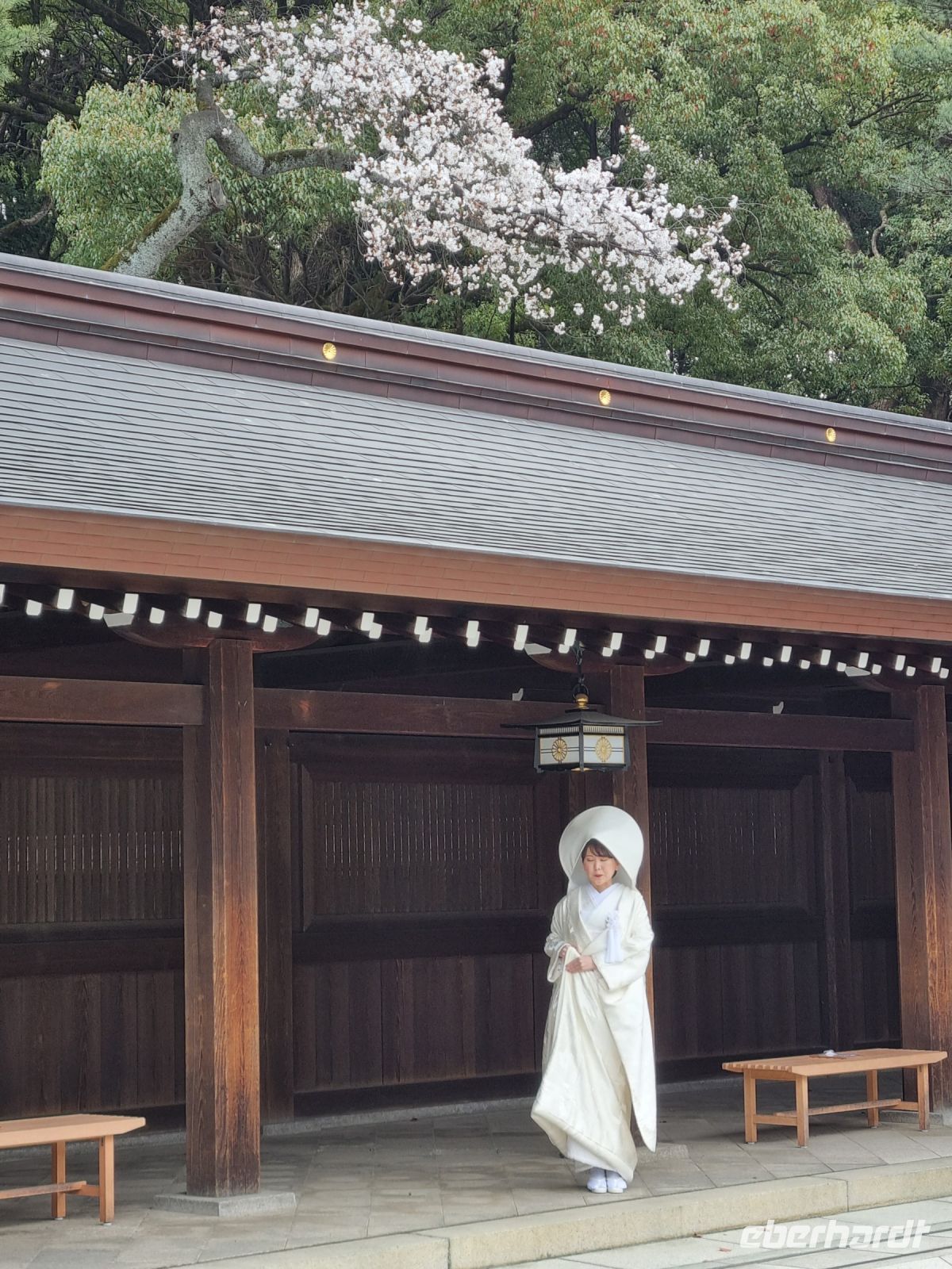 Tokio - Meiji-Jingu-Schrein (Braut)