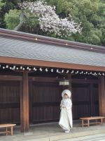 Tokio - Meiji-Jingu-Schrein (Braut)