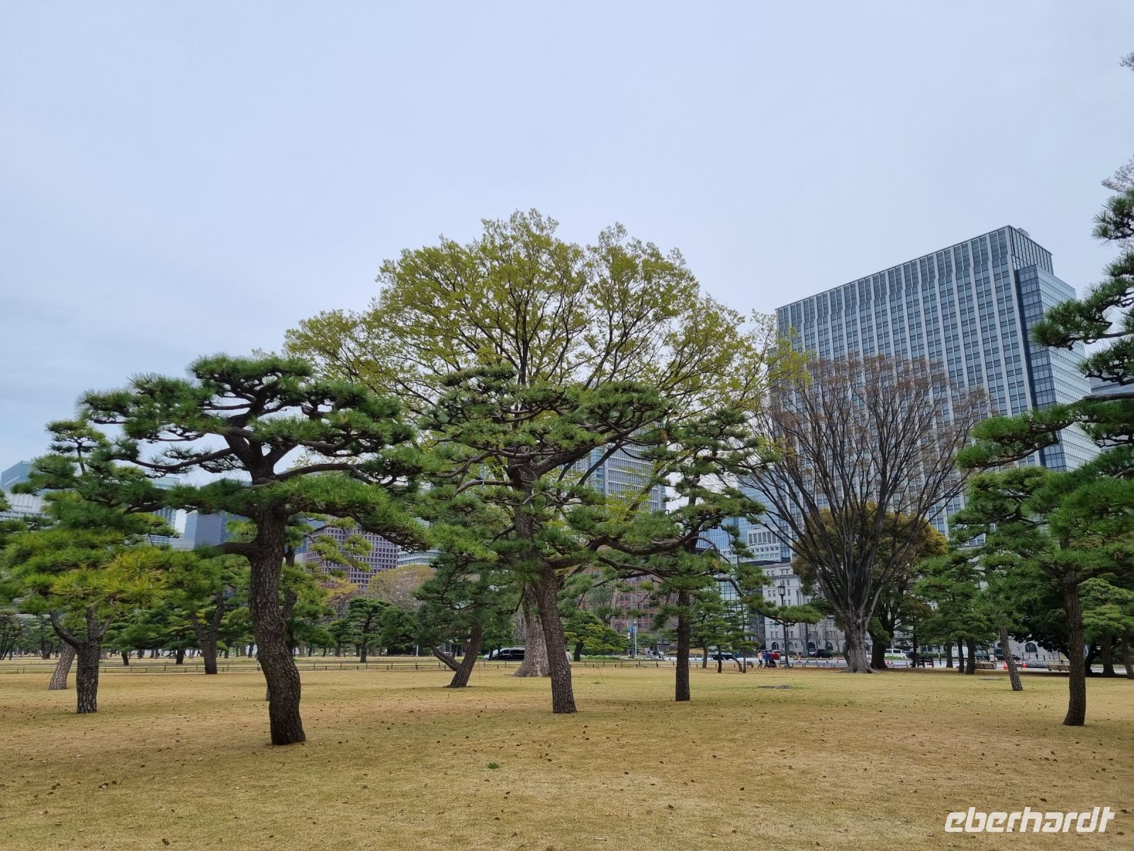 Tokio - Garten am Kaiserpalast 