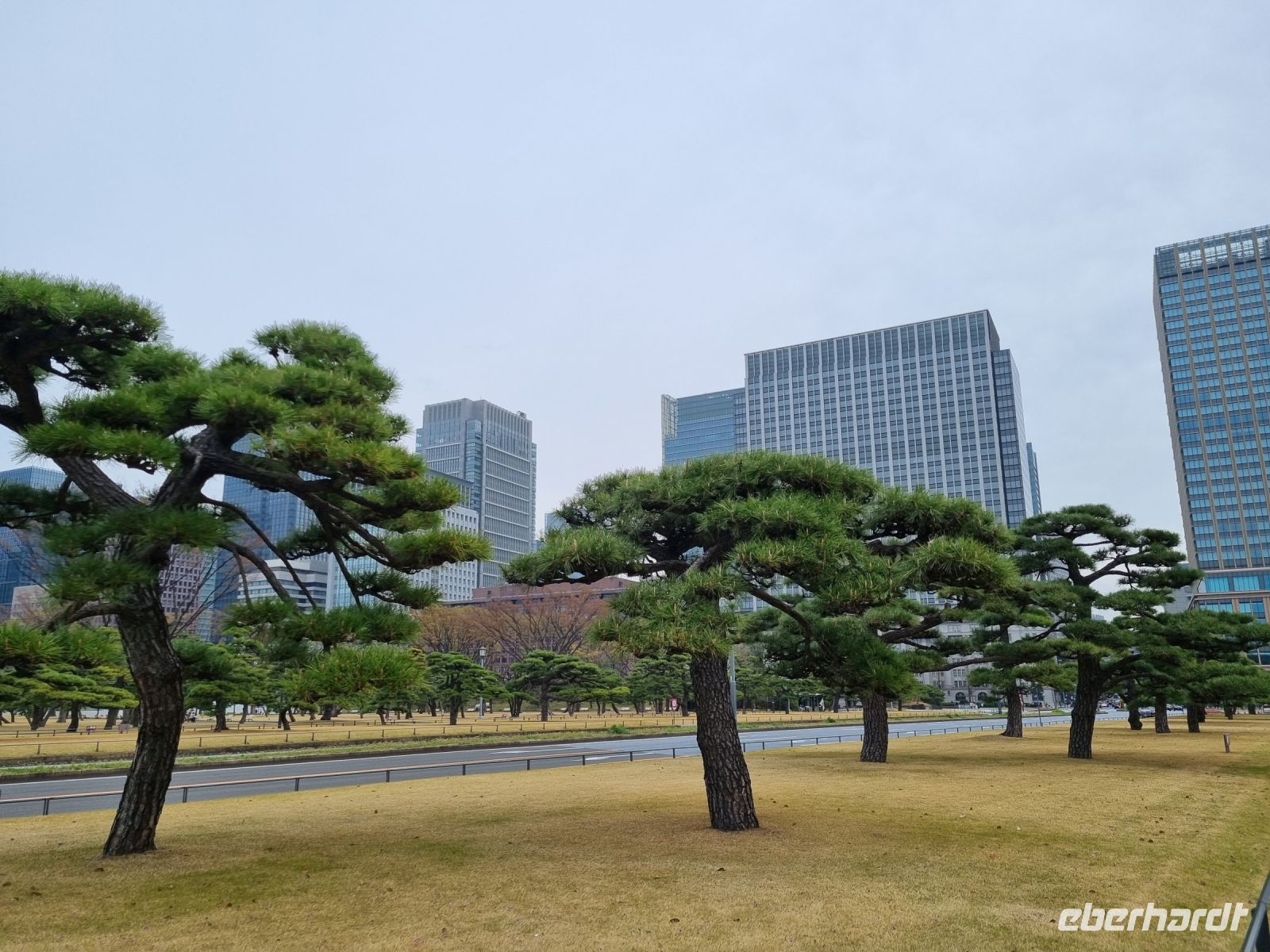 Tokio - Garten am Kaiserpalast 