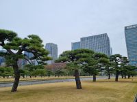 Tokio - Garten am Kaiserpalast 