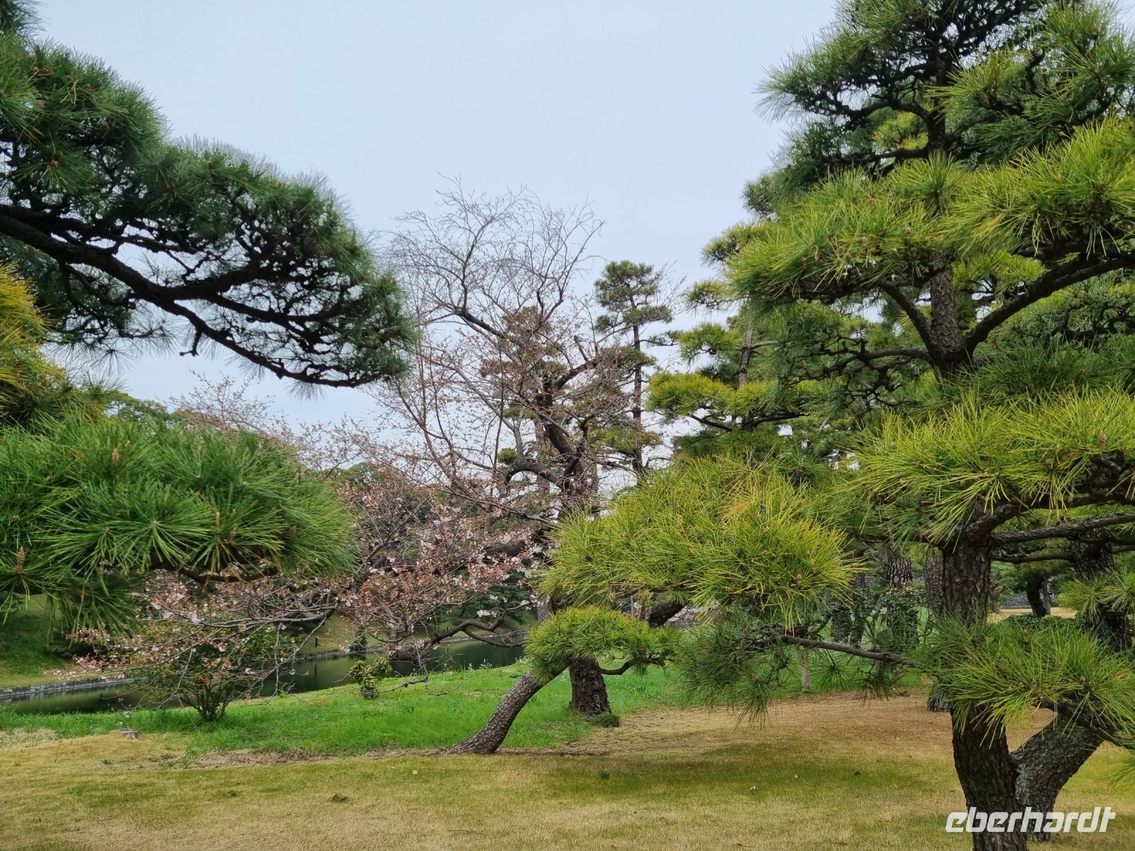 Tokio - Garten am Kaiserpalast 