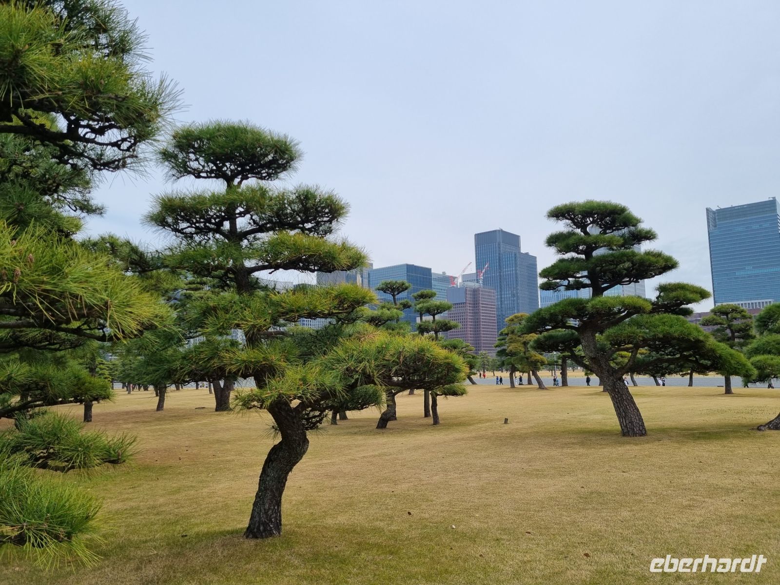 Tokio - Garten am Kaiserpalast 