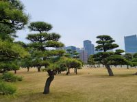 Tokio - Garten am Kaiserpalast 