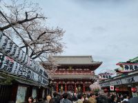 Tokio - Asakusa-Tempel