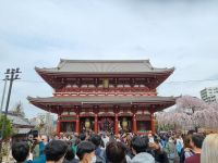 Tokio - Asakusa-Tempel
