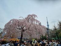 Tokio - Asakusa-Viertel
