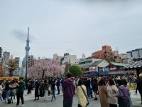Tokio - Asakusa-Viertel