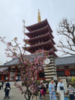 Tokio - Pagode im Asakusa-Viertel 