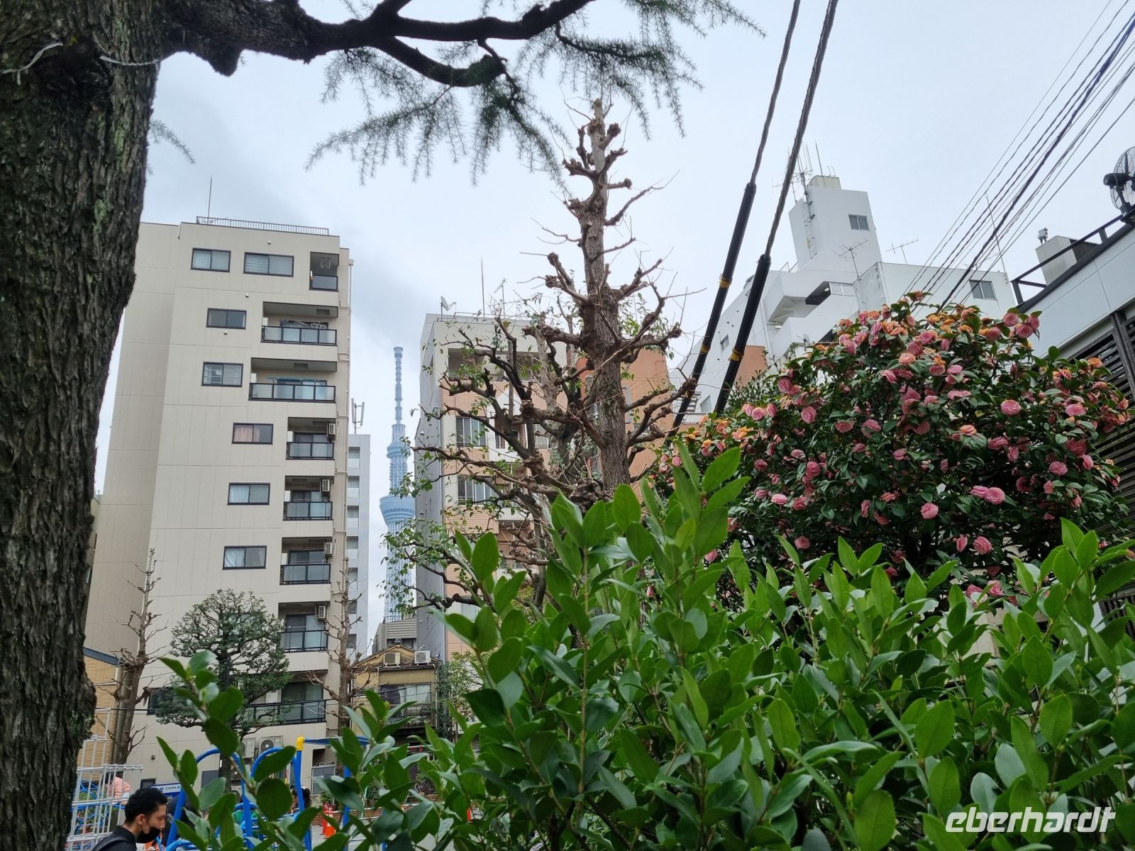 Tokio - Asakusa-Viertel 