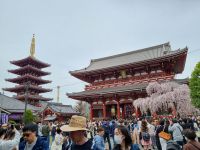 Tokio - Asakusa-Viertel 