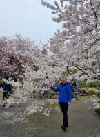 Tokio - Kirschblüte vor dem Nationaltheater