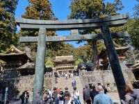 Nikko - Toshogu-Schrein 