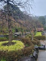 Kamakura - Parkanlage unterhalb des Hasedera-Tempels