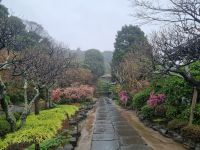 Kamakura - Parkanlage unterhalb des Hasedera-Tempels