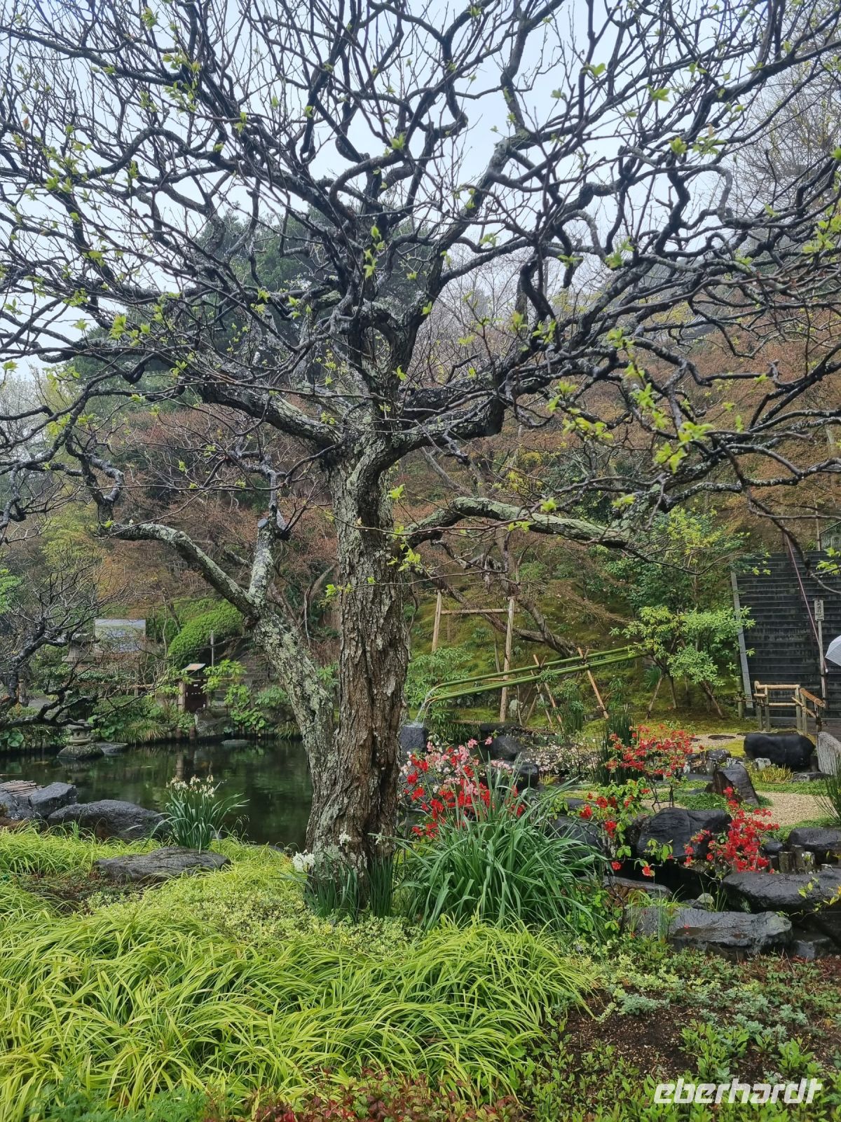 Kamakura - Parkanlage unterhalb des Hasedera-Tempels
