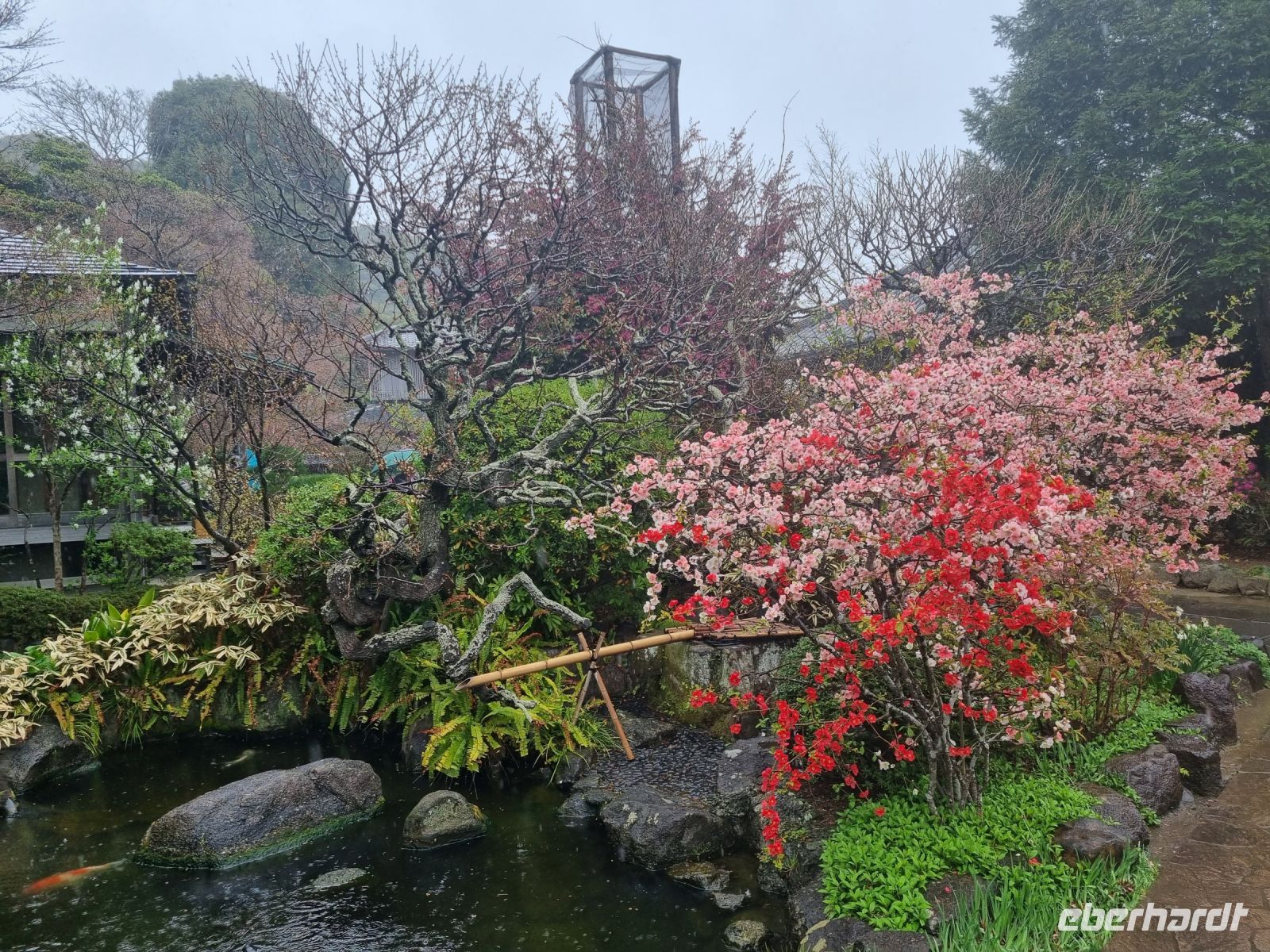 Kamakura - Parkanlage unterhalb des Hasedera-Tempels