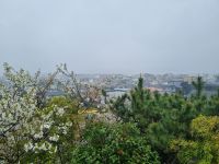 Kamakura - Ausblick vom Hasedera-Tempel 