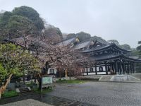 Kamakura - Hasedera-Tempel 