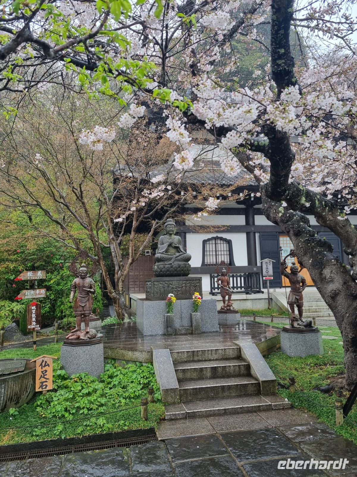 Kamakura - Hasedera-Tempel 