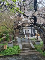 Kamakura - Hasedera-Tempel 