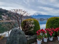 Kawaguchiko - Ausblick vom Kawaguchi-See auf Fujisan