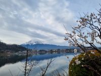 Kawaguchiko - Ausblick vom Kawaguchi-See auf Fujisan