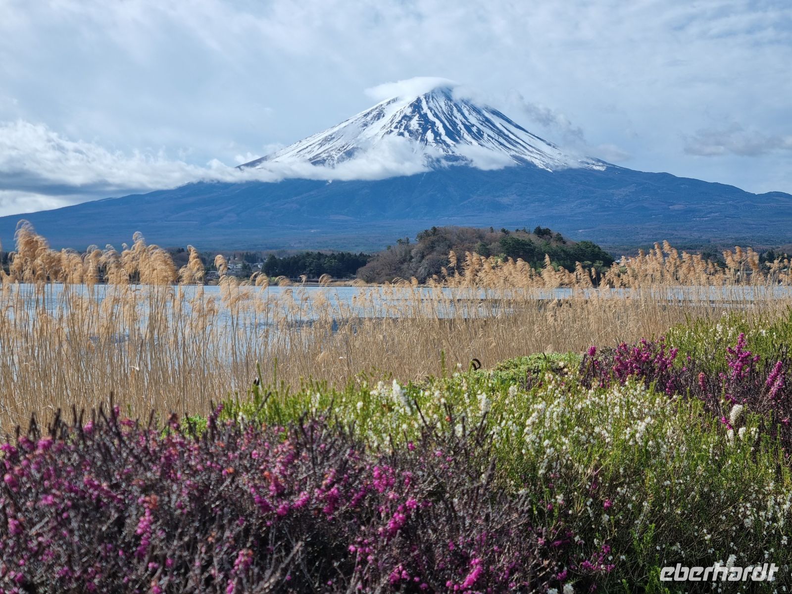 Kawaguchi-See - Oishi Park mit Blick auf Fujisan