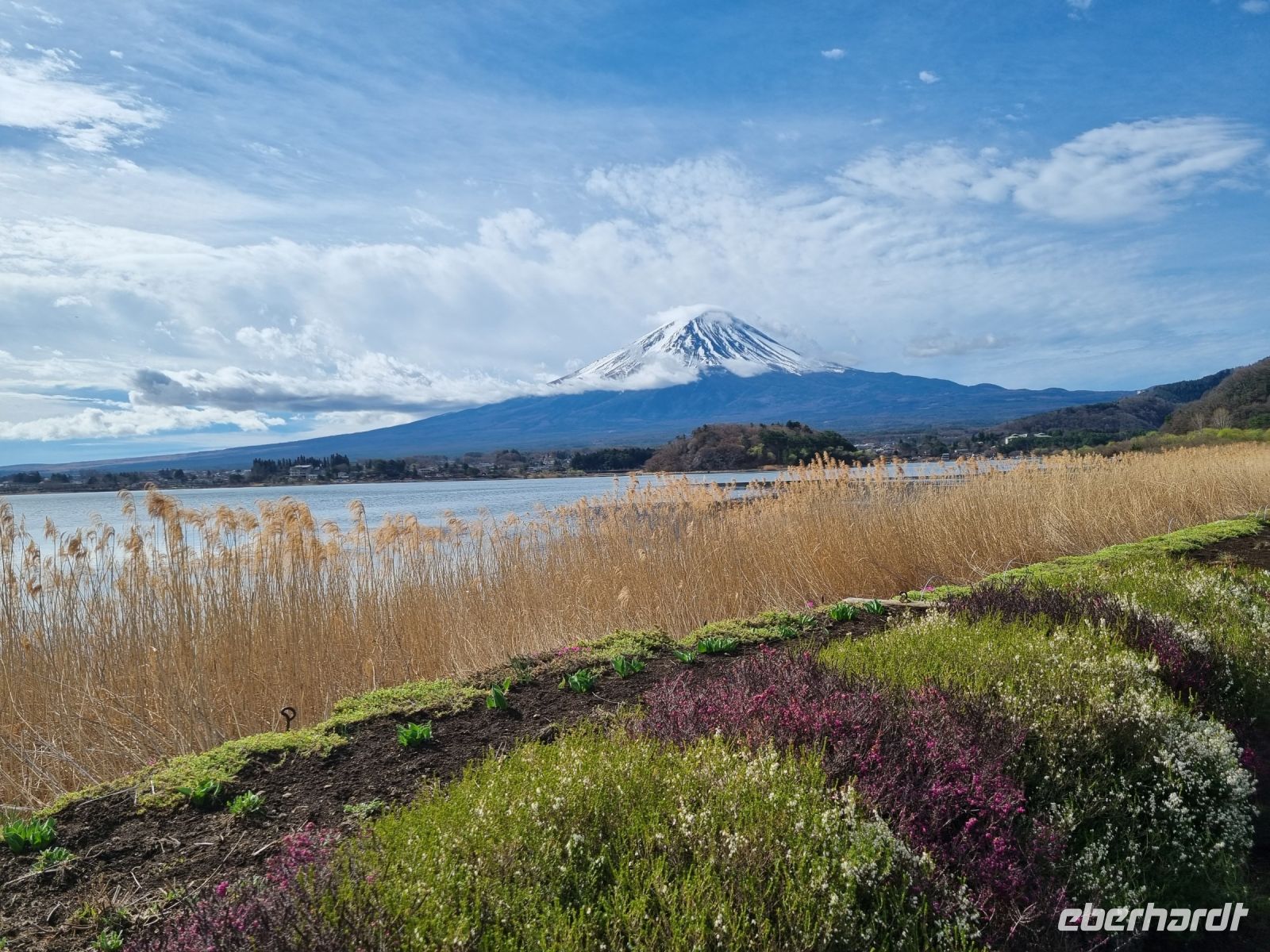 Kawaguchi-See - Oishi Park mit Blick auf Fujisan