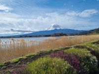 Kawaguchi-See - Oishi Park mit Blick auf Fujisan