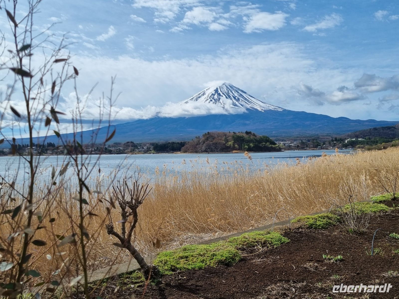 Kawaguchi-See - Oishi Park mit Blick auf Fujisan
