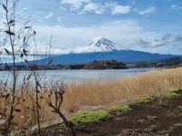 Kawaguchi-See - Oishi Park mit Blick auf Fujisan