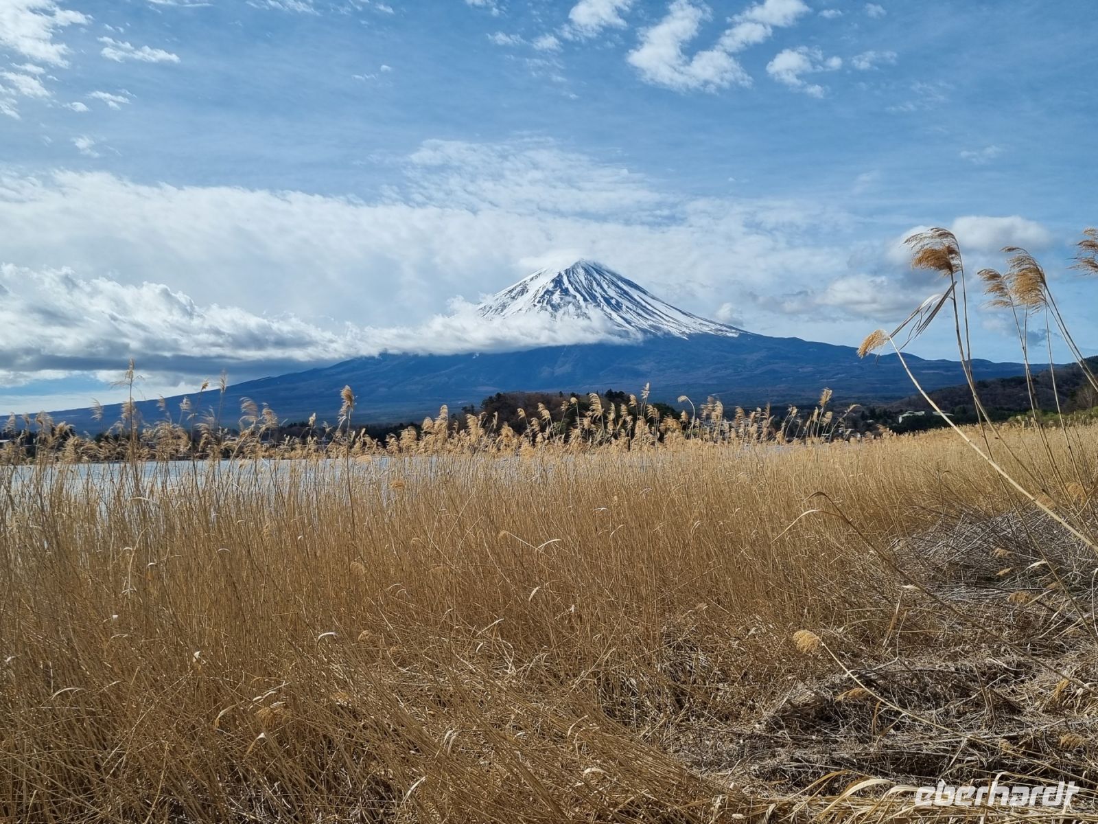 Kawaguchi-See - Oishi Park mit Blick auf Fujisan