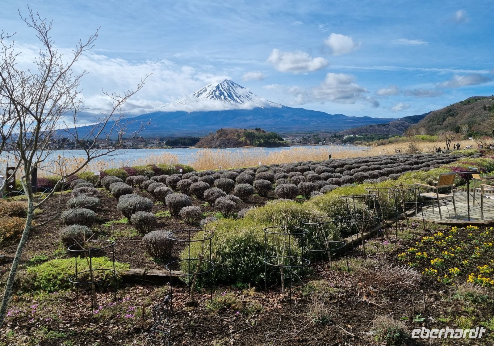 Kawaguchi-See - Oishi Park mit Blick auf Fujisan
