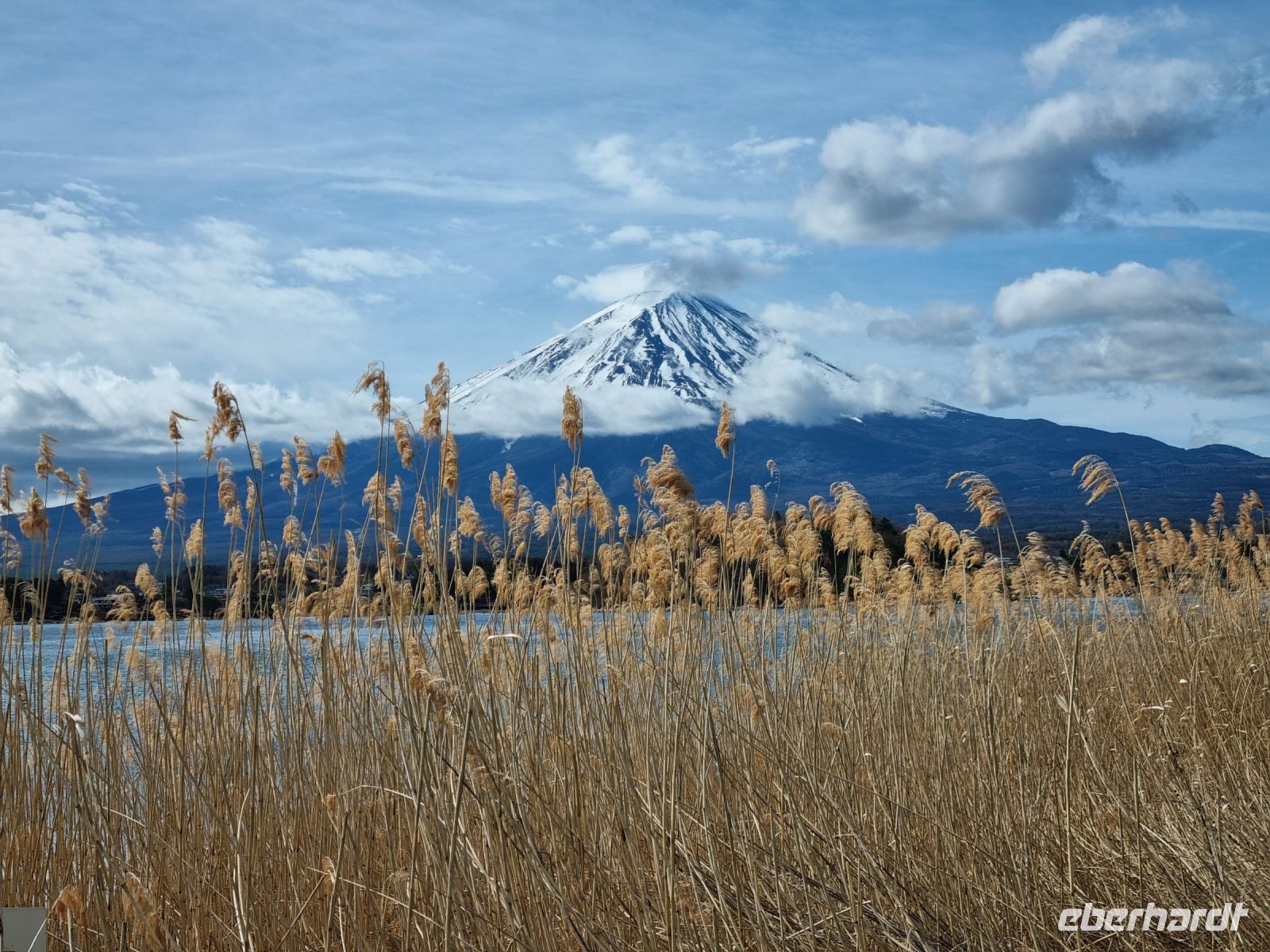 Kawaguchi-See - Oishi Park mit Blick auf Fujisan