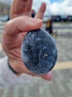 Hakone - Owakudani Kojiri (