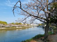 Hiroshima - Spaziergang entlang des Motoyasu-Flusses